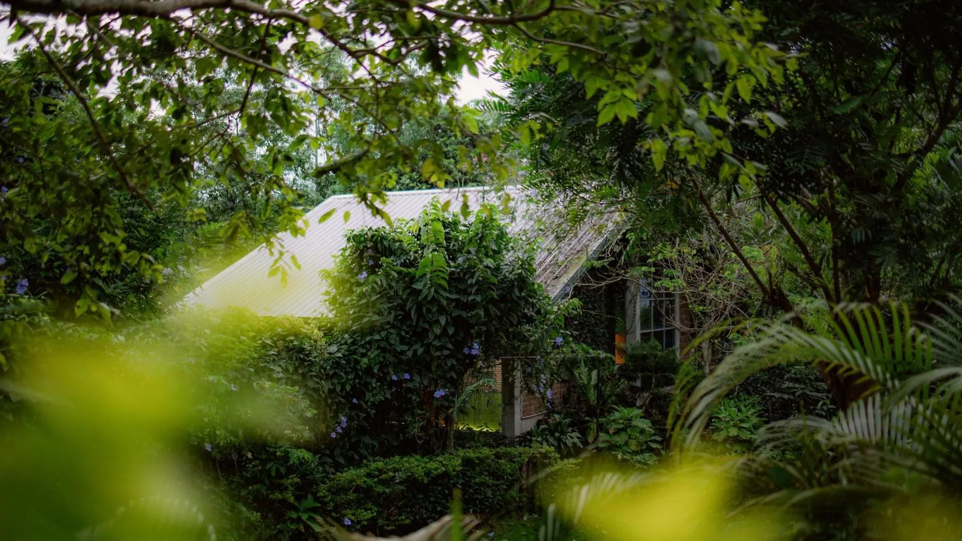 Anithya Kandy Nikawatawana Holiday home